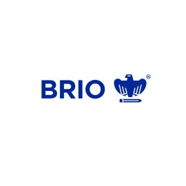 Testare brio 250 elevi 3 ani